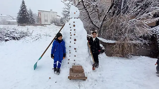 Develi'de kar bayramı: Tarlaya yorgan, Parklara neşe!