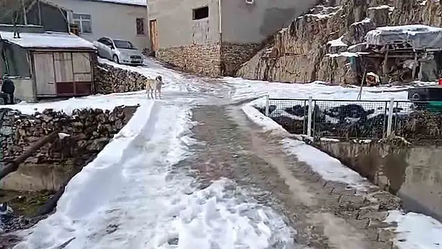 Develi'de mahalle sakinlerini tedirgin eden köprü!