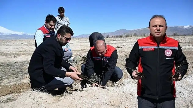 Develi'de meralara yeni nefes! 1300 dekarlık alanda çalışma başladı