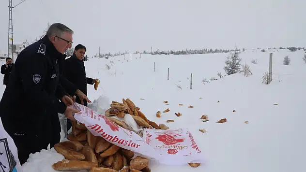 Develi'de sokak hayvanları unutulmadı!