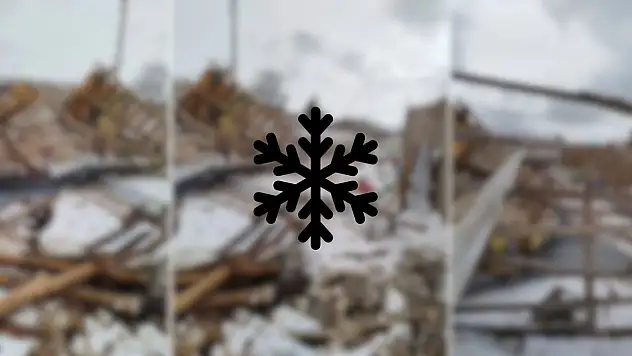 Develi'de tipi işletmeyi bu hale getirdi… Hayvanlar nakledildi!