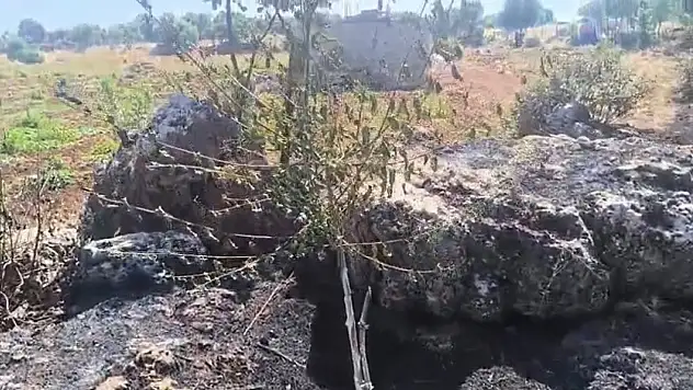 Dicle'de örtü yangını onlarca yıllık emeği yok etti!