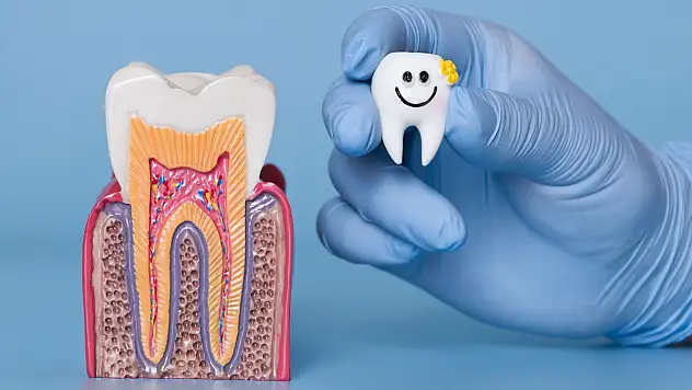 Diş travmalarında ilk 60 dakika hayati önem taşıyor!