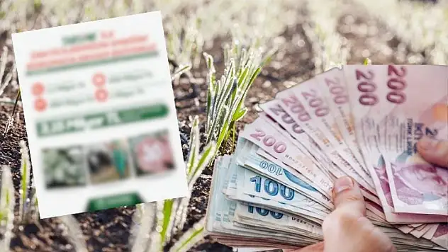 Doluya, zirai dona meydan okuyan Kayseri: TARSİM yaraları sardı!