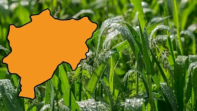 Kayseri'de tarım denge arayışında: Bir yanda bereket, diğer yanda tehdit