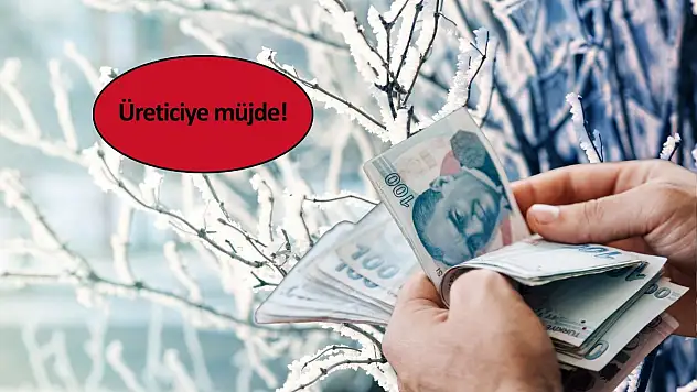 Don vurdu, dev destek geldi! 13 milyar lira üreticinin hesabına yatıyor