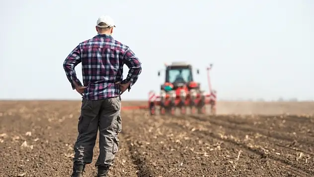 Don vurdu, devlet yetişti! Çiftçilere 707 milyon TL'lik destek müjdesi