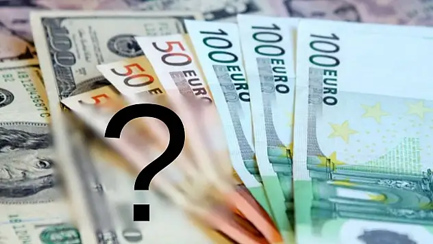 Dövize yatırım yapanlar kâr elde edecek mi?