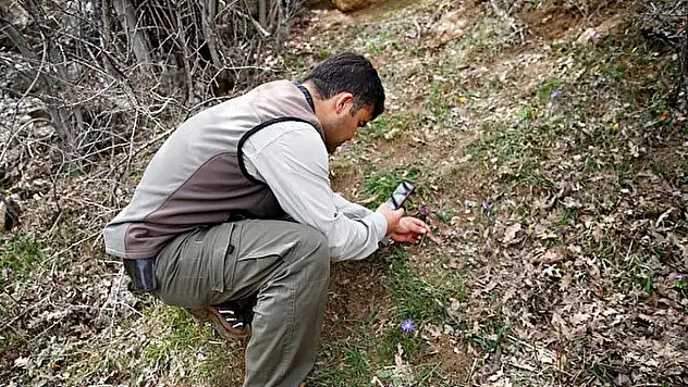 Dünyada Sadece Kayseri'de