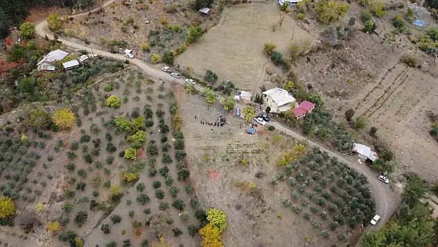 Dünyanın en pahalı baharatında hasat başladı!
