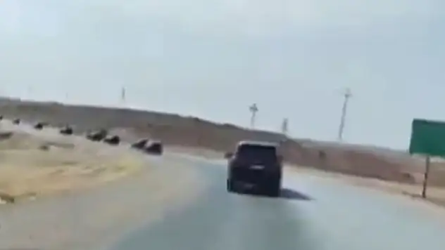 Dünyanın gözü Türkiye'de – PKK silah bıraktı!