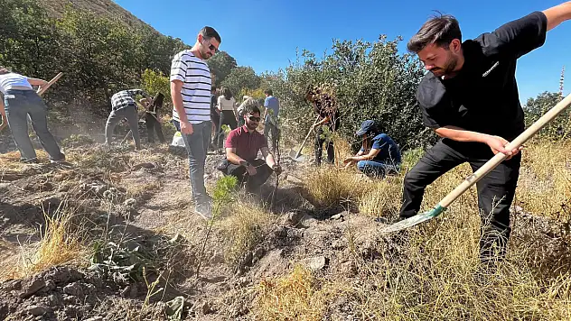 Eczacılar Ali Dağı'na nefes oldu