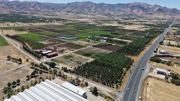 Elazığ'dan Türkiye'ye nefes oluyorlar...