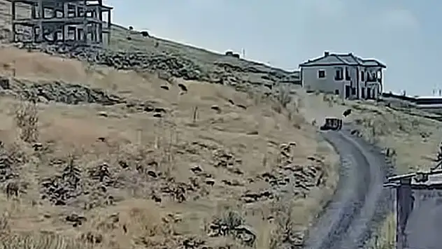Elektrikli mobilet kazasında 5 kişi yaralandı
