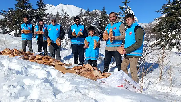 Erciyes Dağı eteklerindeki yaban hayvanlarına yem bırakıldı!