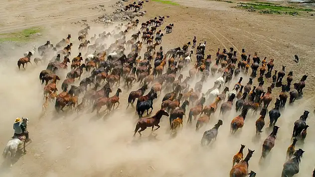 Erciyes'in eteklerinde yeni dönem!