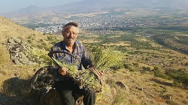 Erciyes'in şifa kaynağı: Karakavon Balı!