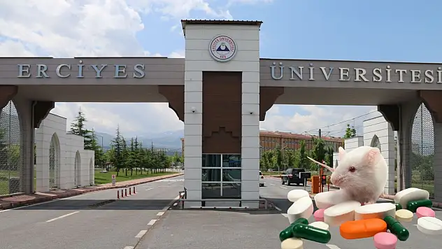 Erciyes Üniversitesi'nde kayıtlar başladı – Konu: deney hayvanları