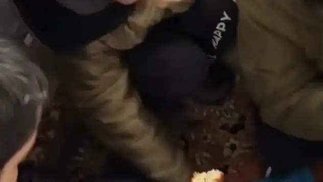 Servis kara saplandı, acıkan minikler beslenme çantalarına sarıldı