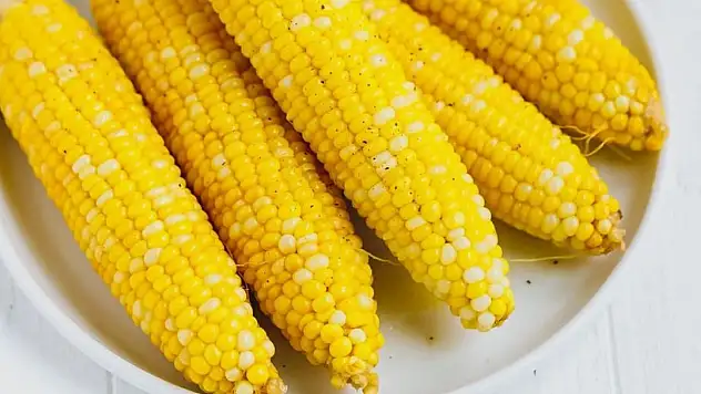 Evde mısır en pratik nasıl pişirilir? Bu yöntem lezzeti iki katına çıkarıyor!
