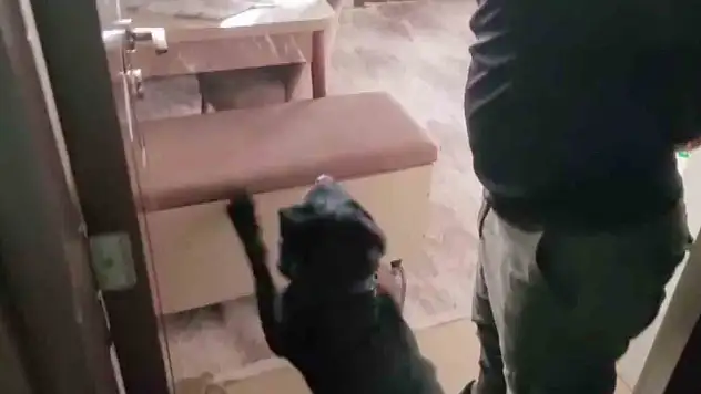 Adana'da mutfağın sandığından 814 gram eroin çıktı!