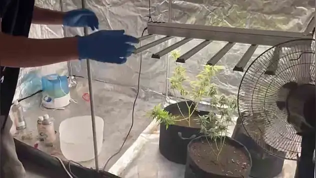 Kiraladığı Evi Uyuşturucu Serasına Çevirdi