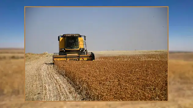 Felahiye'de tarıma can suyu! Aspir tohumu desteği başladı