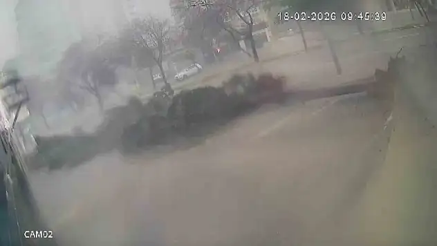 Adana'da fırtına dehşeti! Ağaçlar peş peşe devrildi