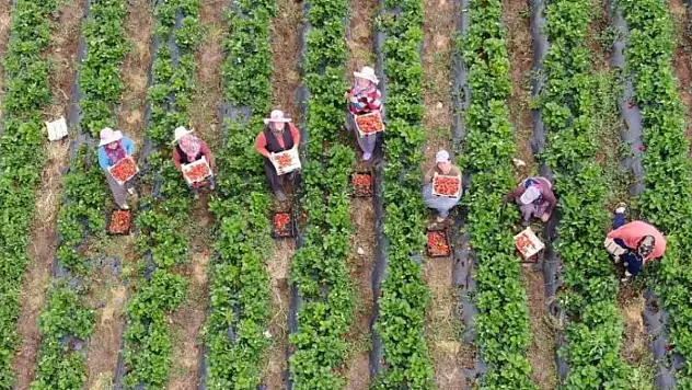 Fiyatlar Cep Yakıyor – Kayserili Bulamıyor!