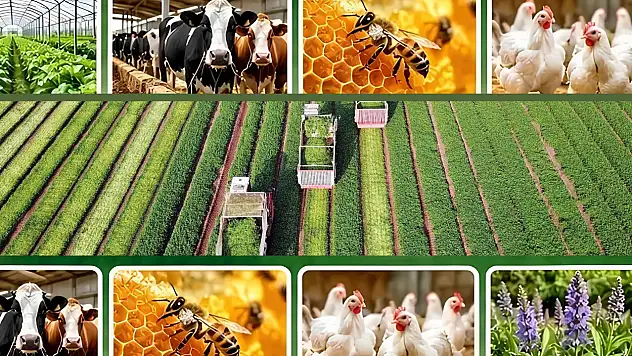 Genç çiftçilere 5 milyon TL müjdesi! Başvuru şartları belli oldu