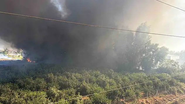 Geri dönüşüm fabrikasındaki yangına havadan müdahale ediliyor
