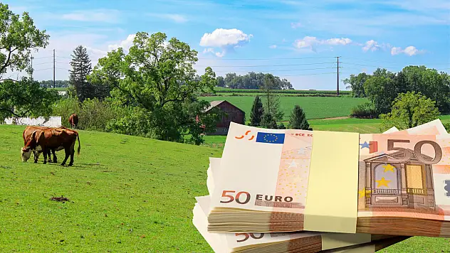 Girişimcilere 50 milyon avro hibe: Başvurular başladı!