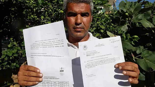 Mısır tarlasındaki farktan şüphelendi: 1 milyon liralık zarar iddiası
