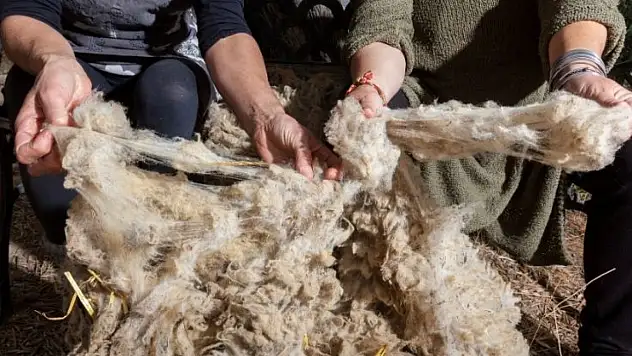 Güneşten ve radyasyondan korunmanın en doğal yolu: Yün!