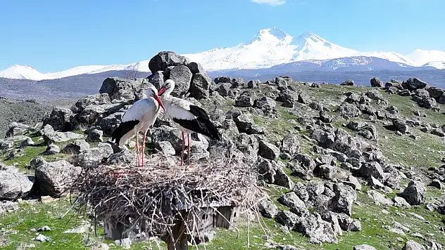 Hacılar'da baharın habercisi geri döndü! O görüntüler yeniden ortaya çıktı