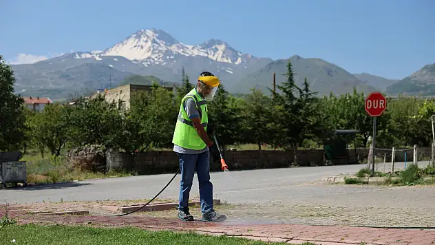 Hacılar'da kene mesaisi - İlaçlama işlemi sürüyor!