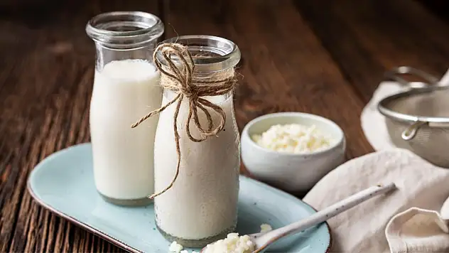 Hangi gıdaların probiyotik değeri yüksek? İşte faydaları…