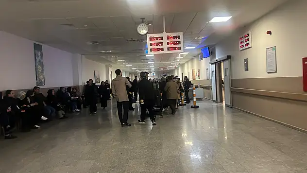 Hantavirüs nedir? Türkiye'de var mı?