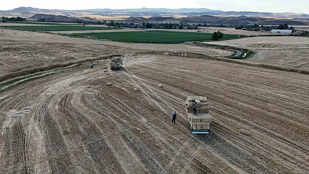 Hasat sonrası balya mesaisi başladı: İşte günlük kazanç!