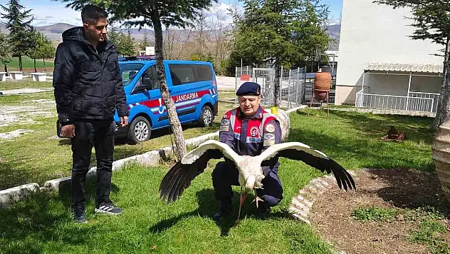 Yozgat'ta bulunan hasta leylek koruma altına alındı!