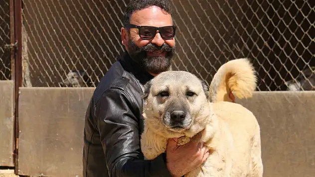 Hava Değişimi Kangalları Vurdu