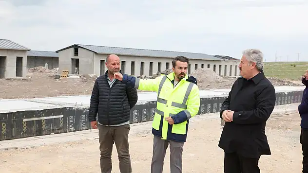 Hayvan Bakım Evi hızla tamamlanıyor
