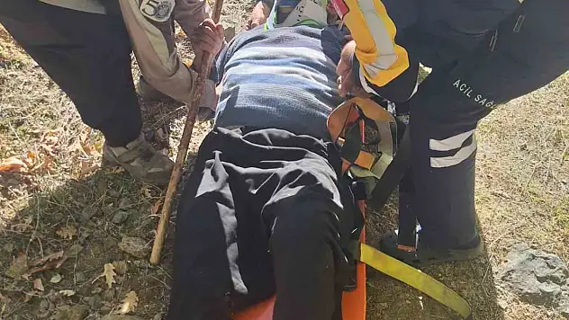 Hayvan otlatırken kayalıklardan düşen gazi kurtarıldı!