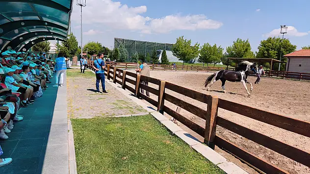 Hayvanat Bahçesi kapılarını ücretsiz açtı