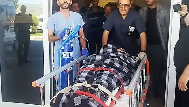 Sivas'ta ayı saldırısı: Çoban yaralandı