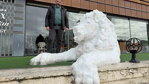 Kardan aslanı tek tek işledi