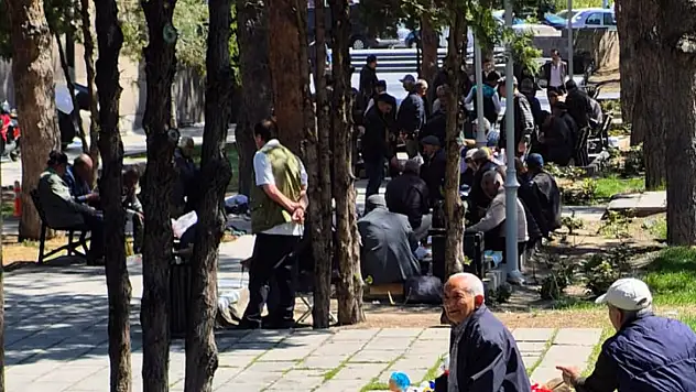 Her gün aynı yerde aynı saatte toplanıyorlar! İşte sebebi