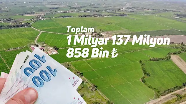 Hesaplara bugün aktarılacak: 7 farklı başlıkta destek ödemesi!