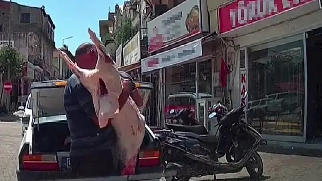 Adana'da otomobil bagajında hijyensiz et taşındı!