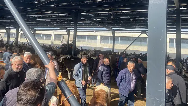 İç Anadolu'nun en büyük kurban pazarına akın ettiler